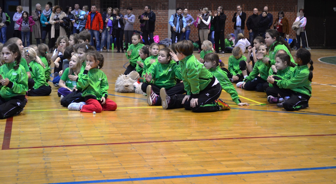 VIII. STUDENT COMFORT KUPA 2015 11.21-22.